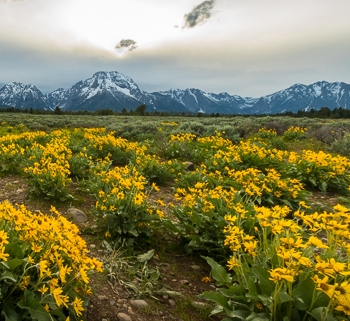 DSC_1992-Pano